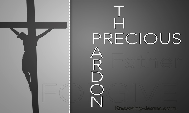 The Precious Pardon (devotional)01-03 (gray)